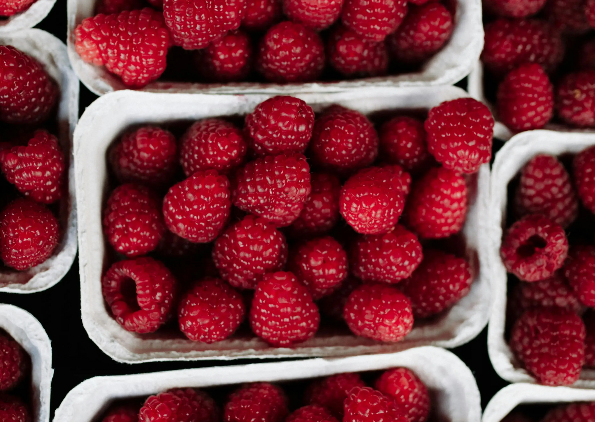 Several square cardboard containers filled with fresh, vibrant red raspberries arranged on a dark surface.