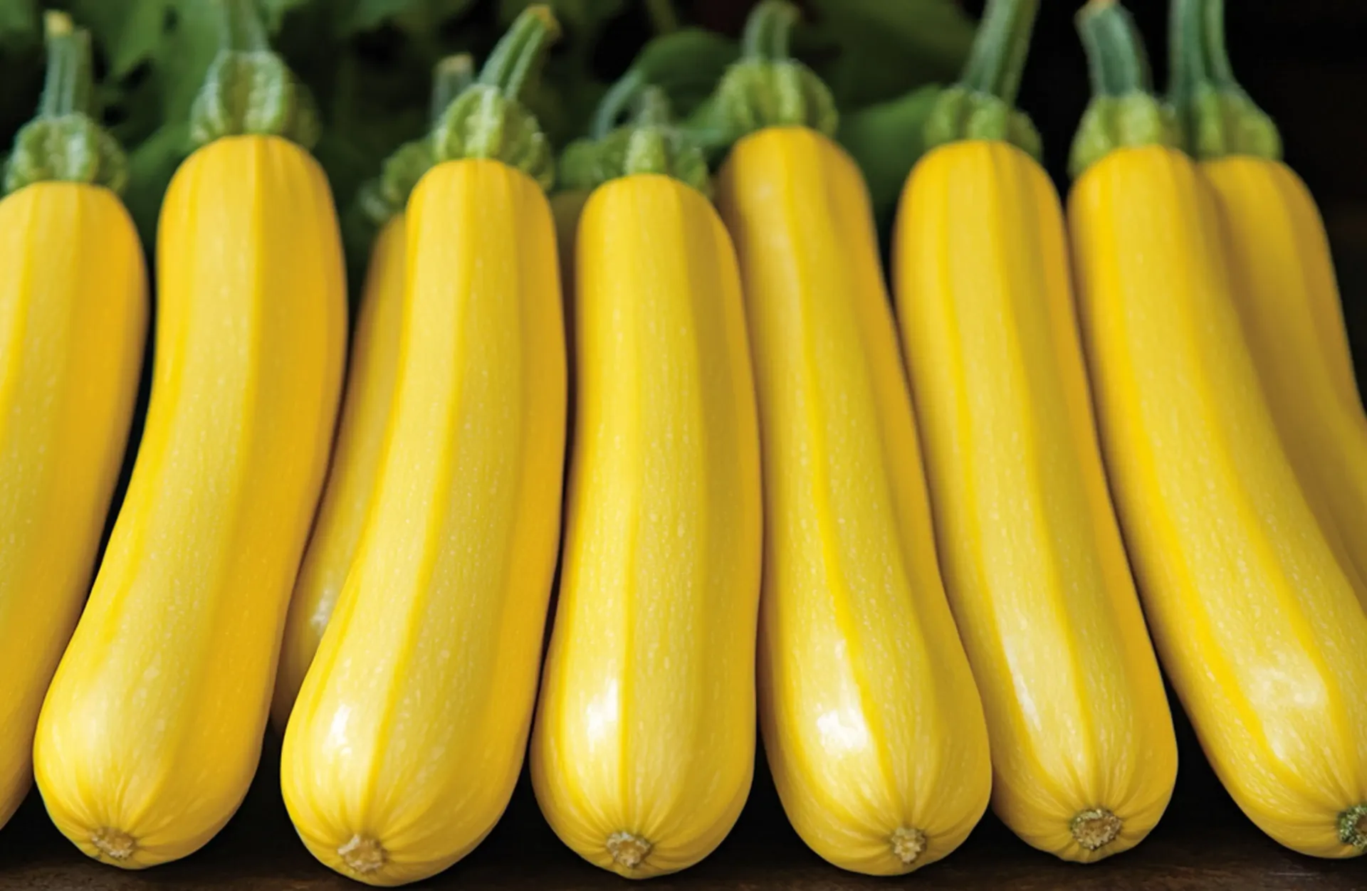 Yellow Squash 20 lb. case
