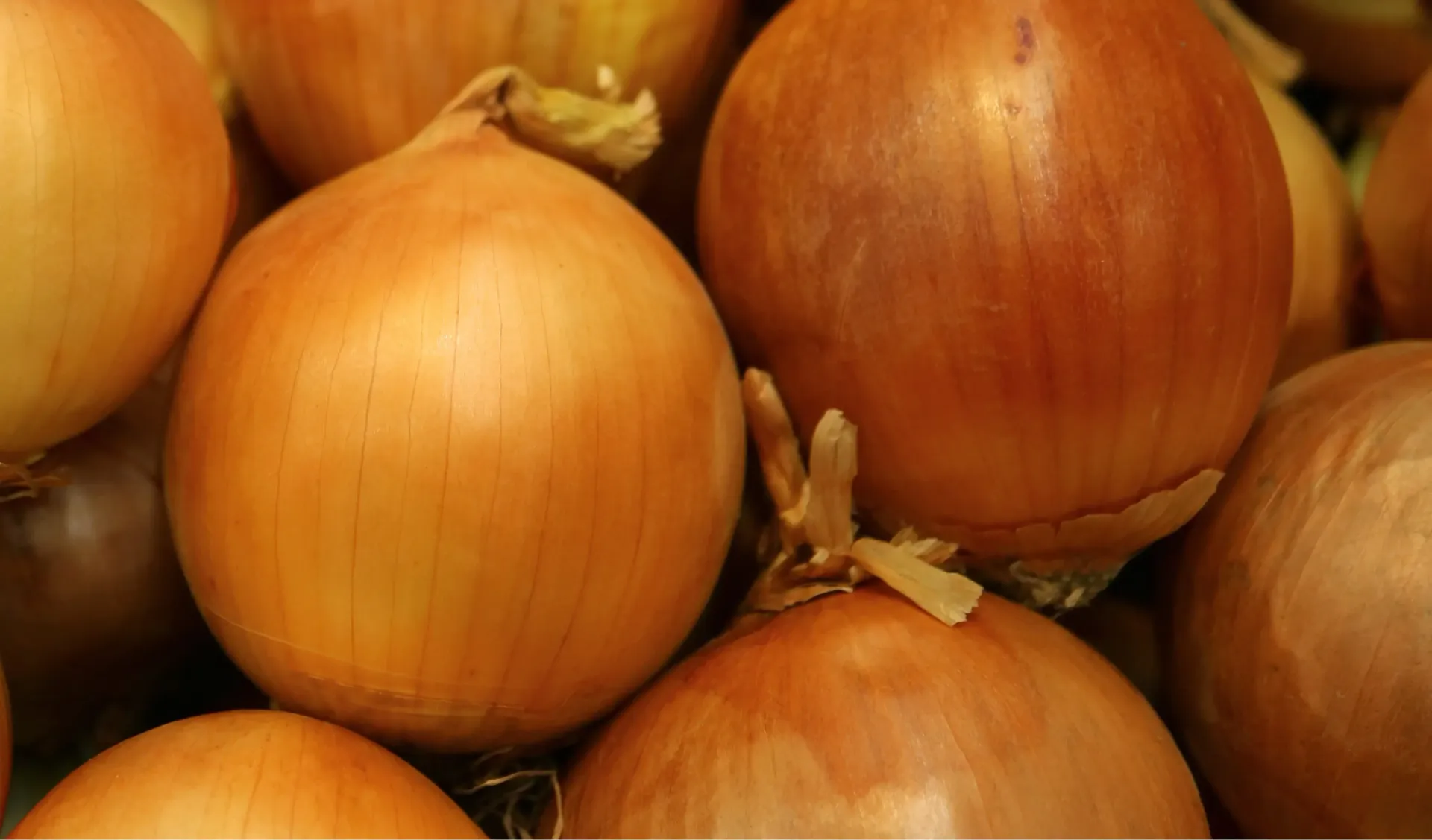 Yellow Onions 25 lb. bag