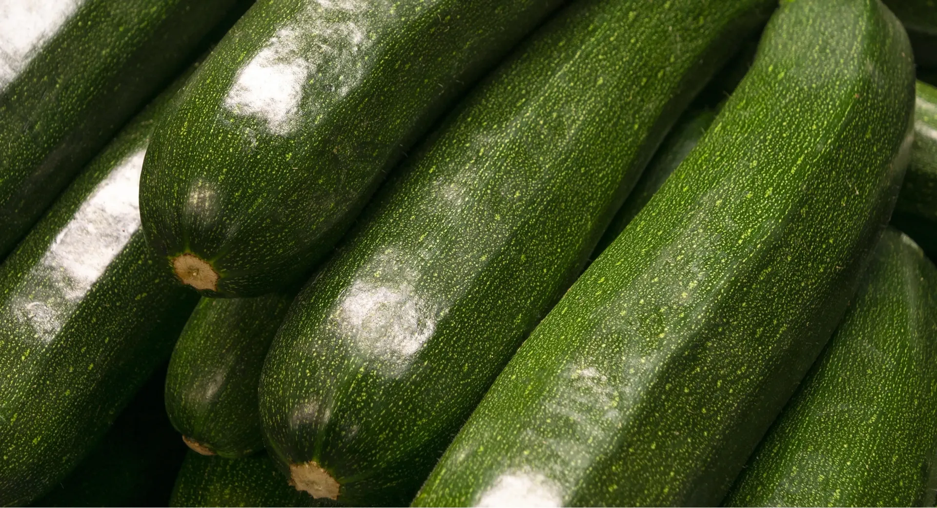 Zucchini Squash 20 lb. case