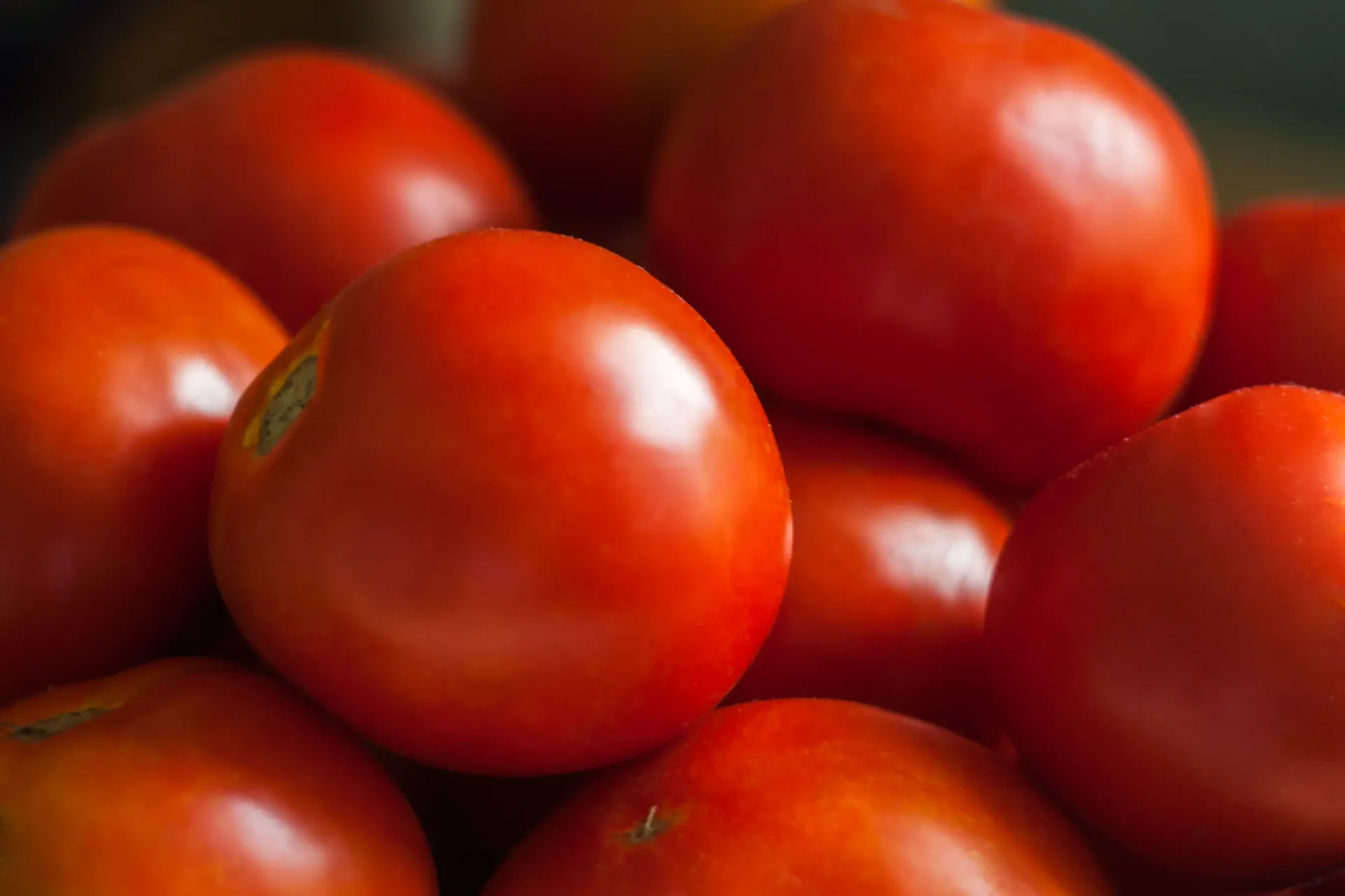 Local Tomatoes 25 lb. case