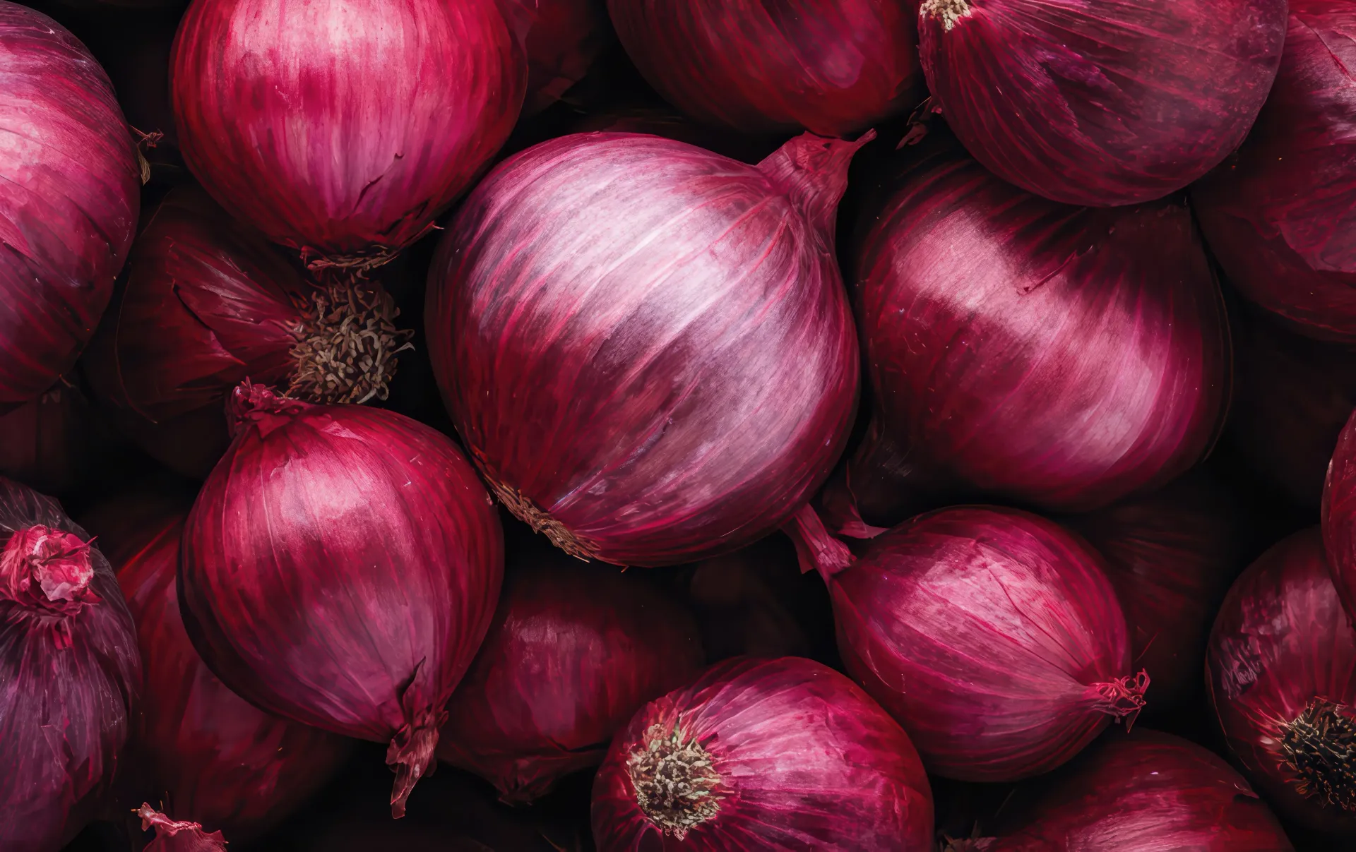 Red Onions 25 lb. bag