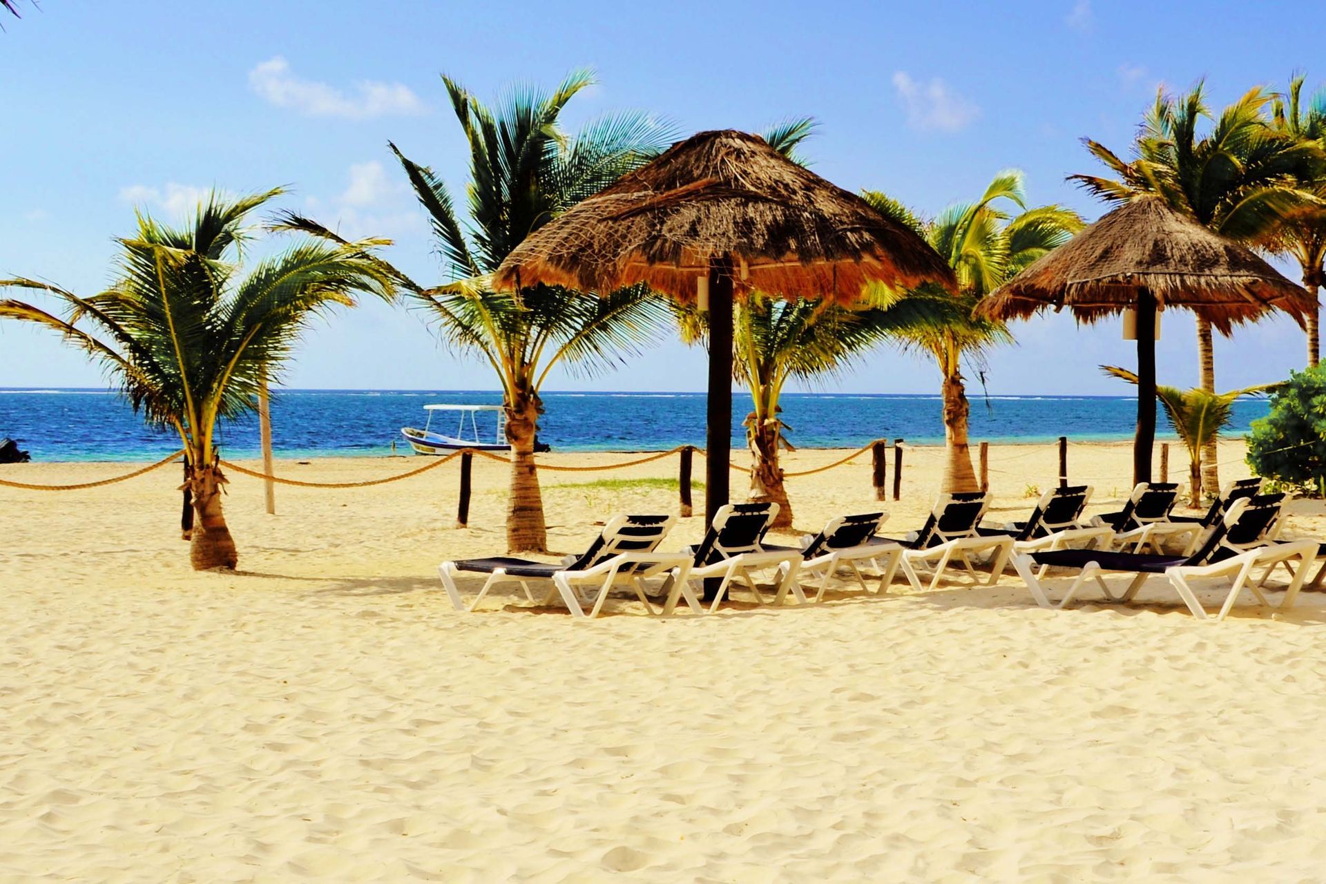 Sandy beach with palm trees, thatched umbrellas, and lounge chairs facing the blue ocean.