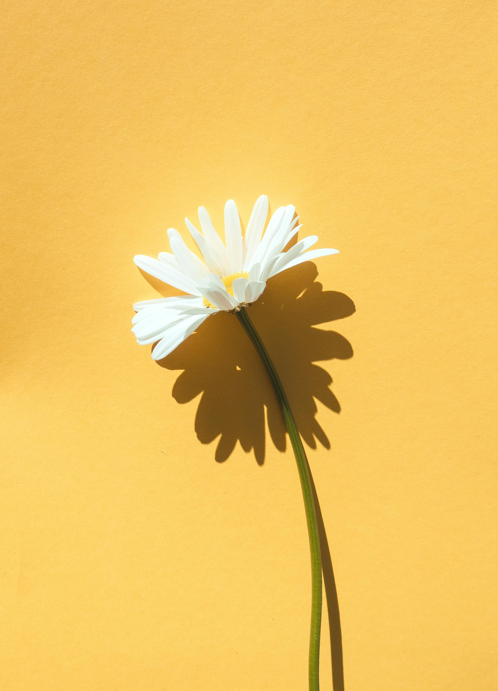 ocd-wellness-healing-is-possible-what-ocd-treatment-looks-like-and-why-it-works-image