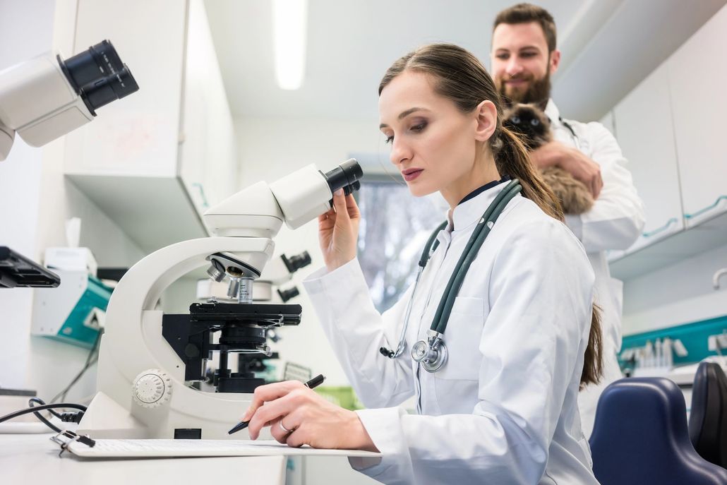 About Legendary Mobile Phlebotomy & Lab About Legendary Mobile Phlebotomy & Lab