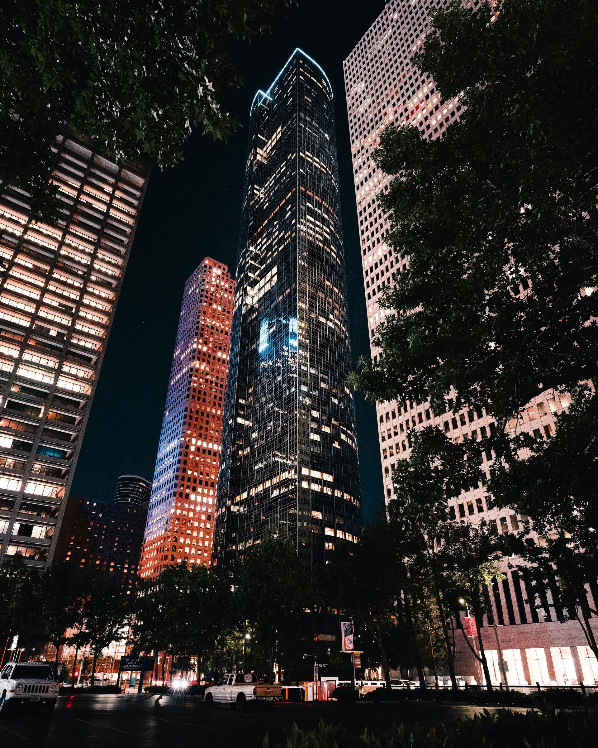Nighttime city skyline with illuminated skyscrapers framed by trees and streetlights