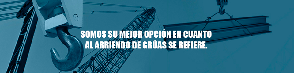 Arriendo de grúas en La Quinta Región 