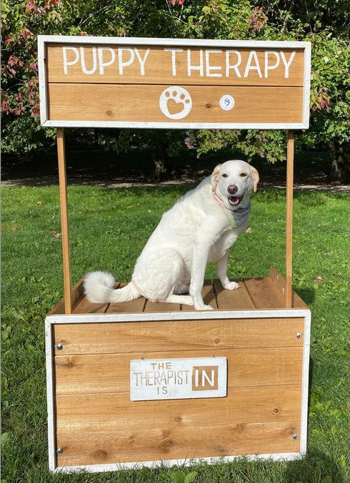 Pets and Friends Volunteer Appreciation Event Sept 2024