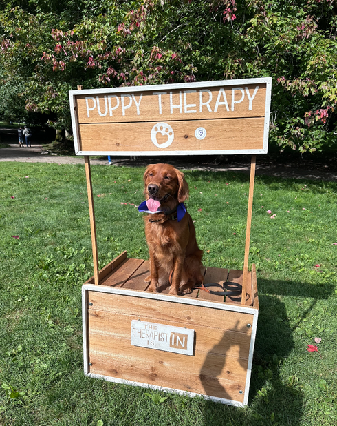 Pets and Friends Volunteer Appreciation Event Sept 2024