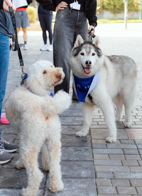 Volunteering at Simon Fraser University