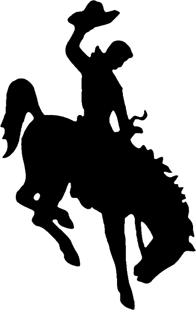 Cowboy riding a bucking bronco, raising hat in silhouette.