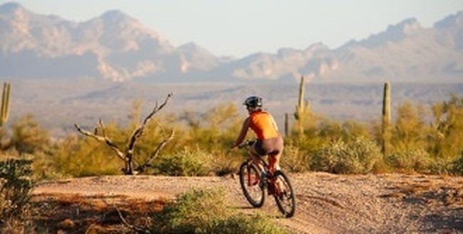 Person on a bike rides on a desert trail with mountains in the background.
