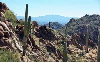 Cactus and rock formations in a desert landscape, with mountains in the background under a clear blue sky.