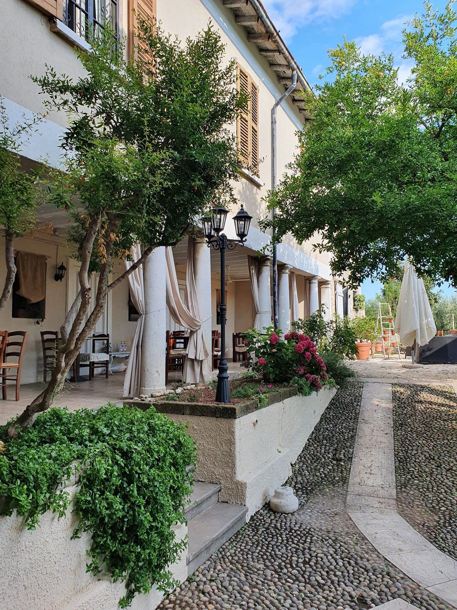 dehors di una trattoria con alberi