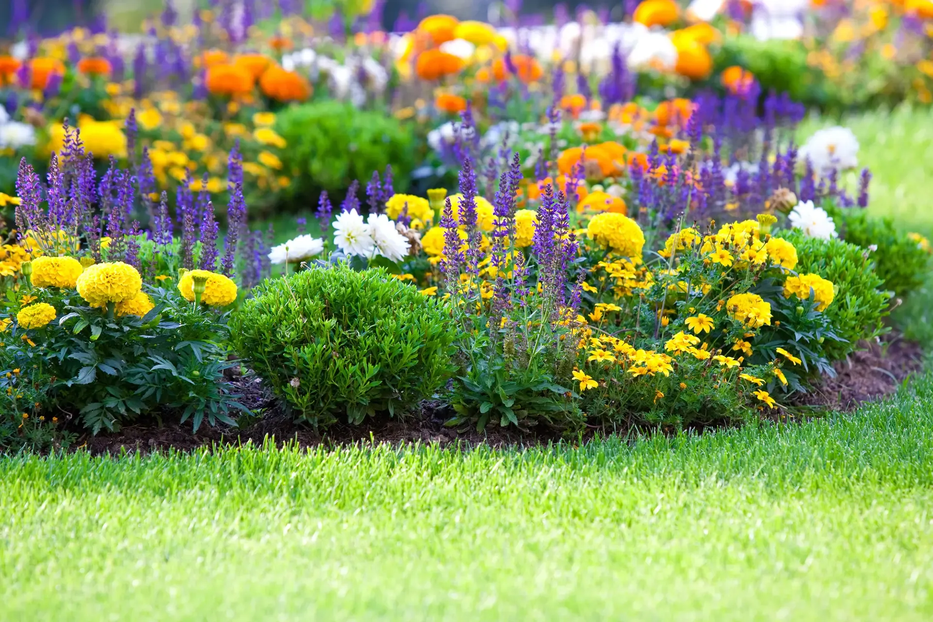 Commercial Garden Bed Maintenance