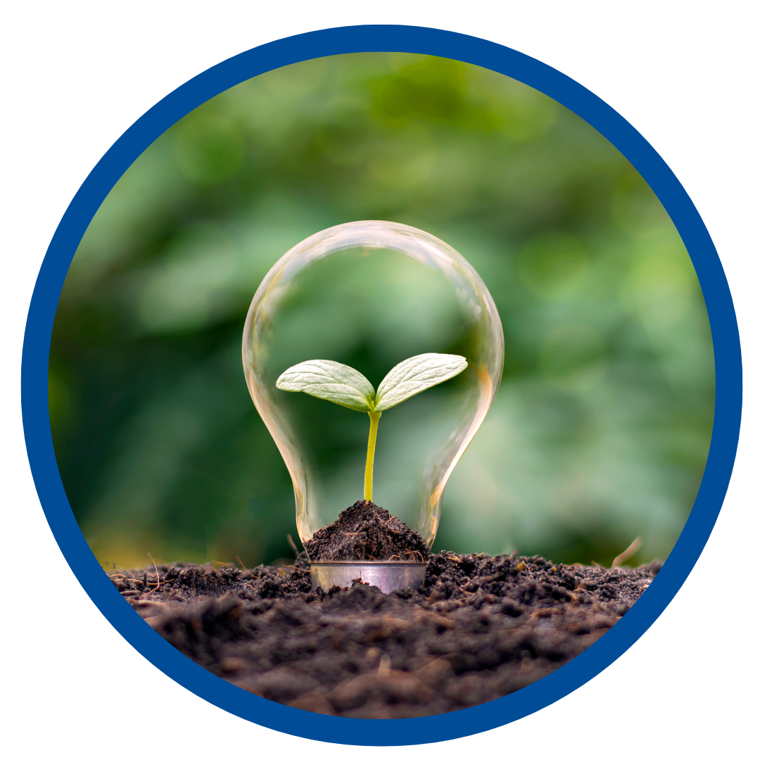 light bulb with plant growing inside