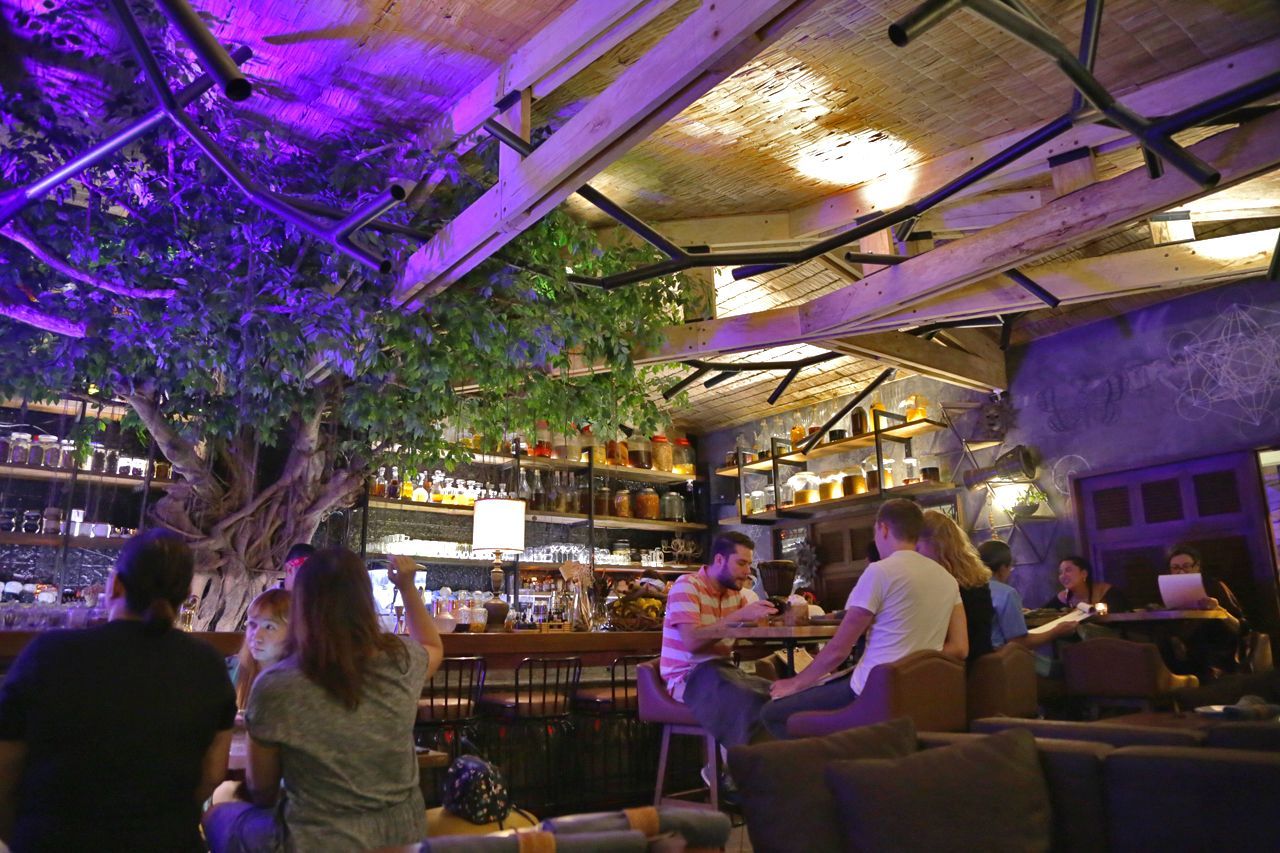 Stylish hotel bar with wood stools and backlit liquor shelves at The Belamy