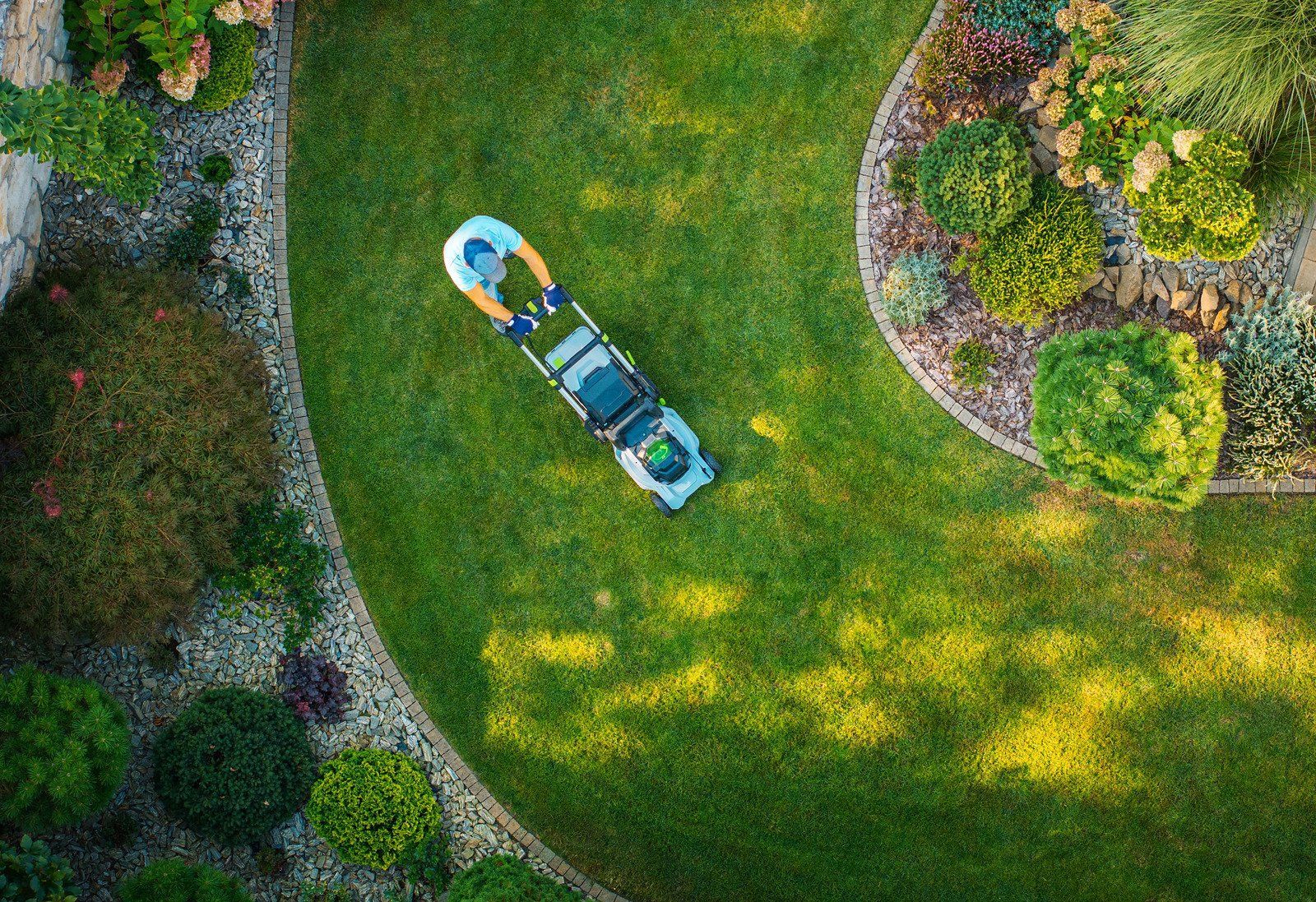Aerial view of a person mowing a green lawn beside curved garden beds and shrubs.
