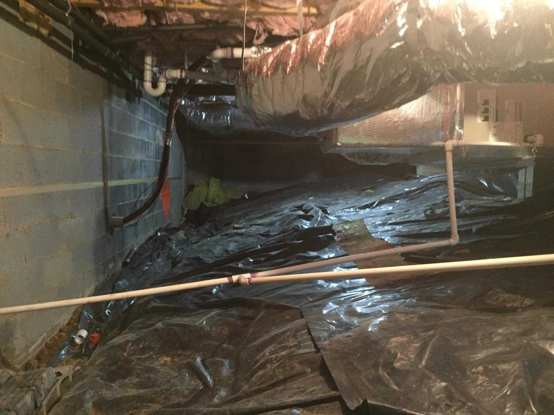 before crawlspace encapsulation boone nc