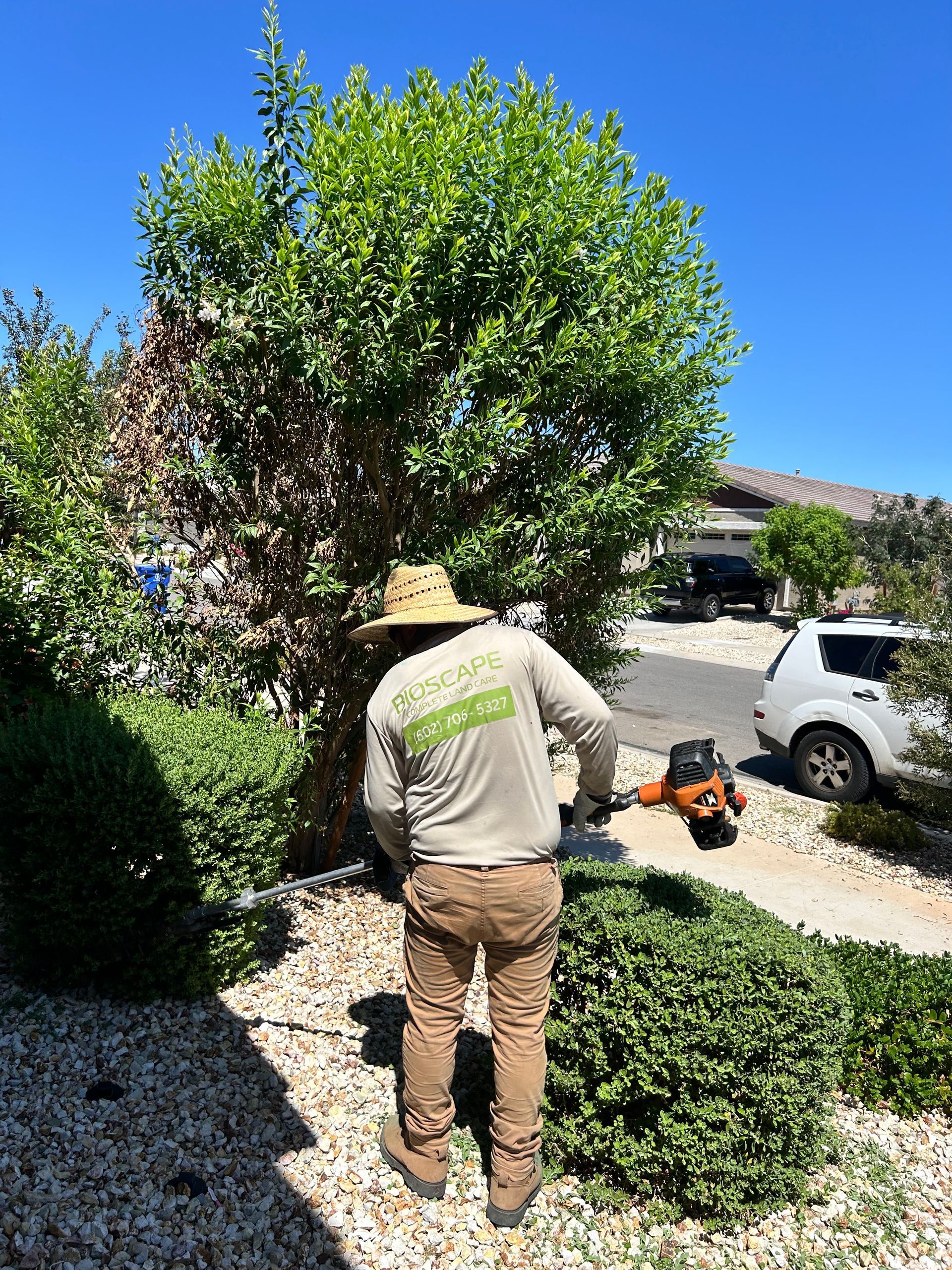 A man in a hat is cutting a bush with a lawn mower.