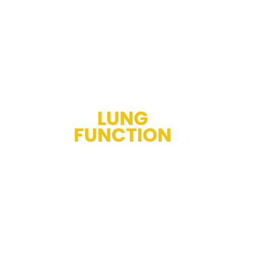 lung function