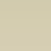 A close up of a white background with a plain texture.