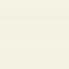 A close up of a white background with a plain texture.