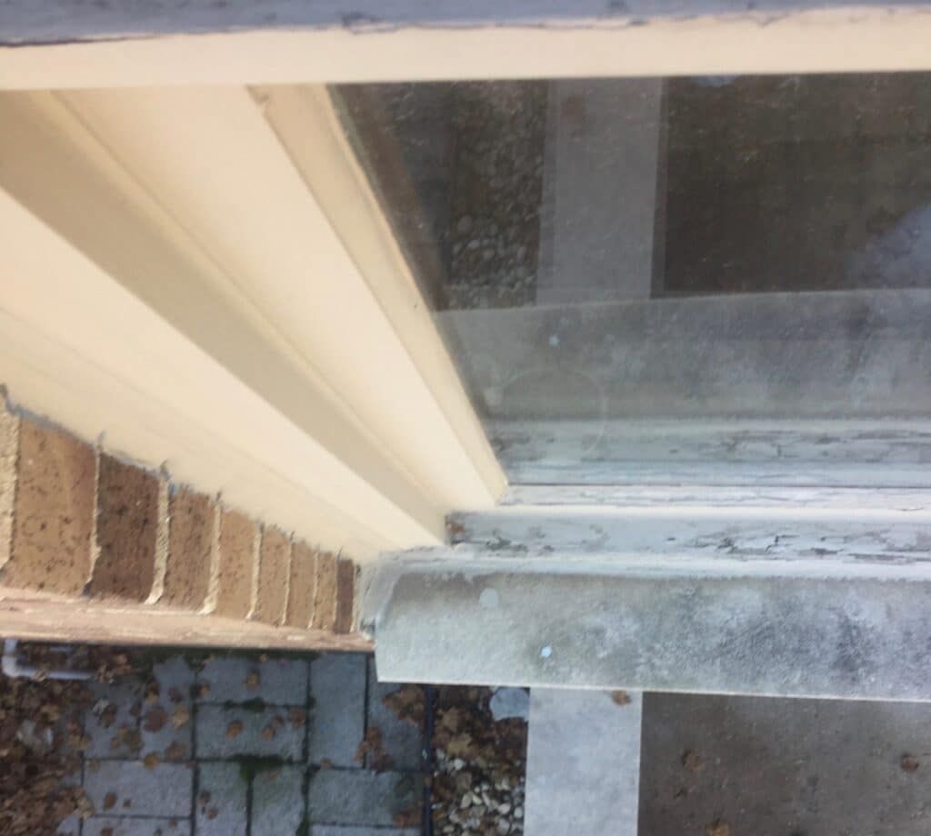 Condo Window Replacement Options