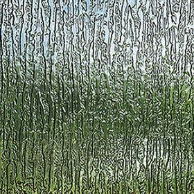 A close up of a glass window with a reflection of trees in it.