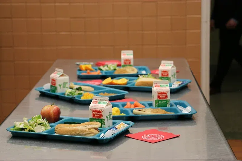 Healthy Nutrition in Schools