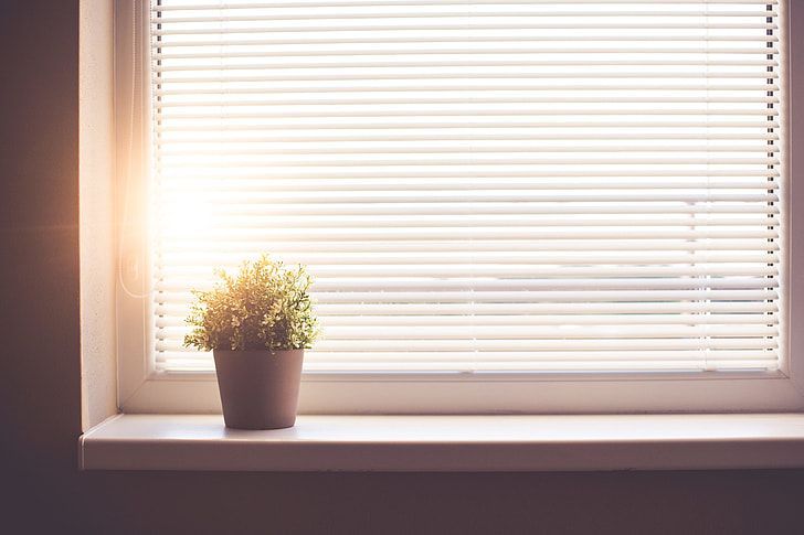 Light and Health