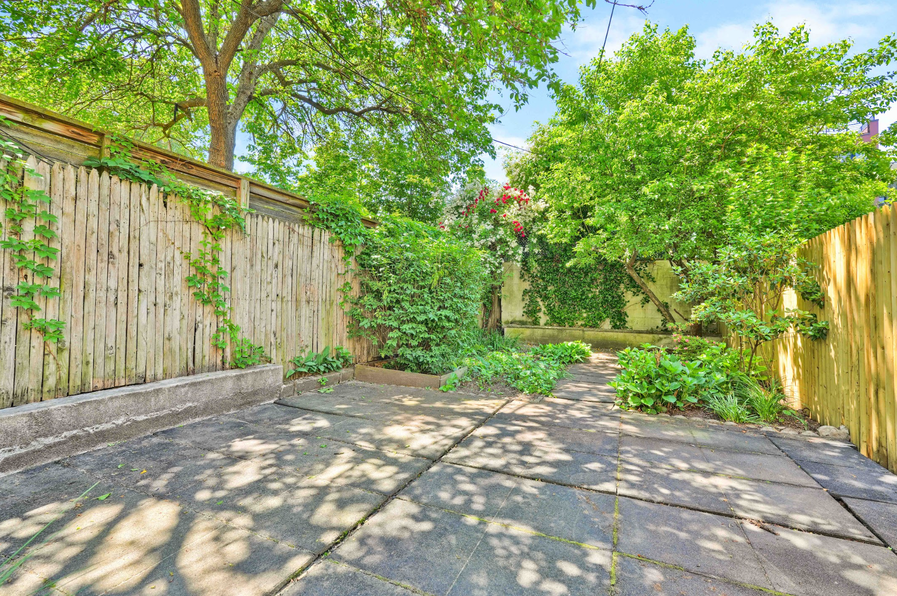 An empty backyard with a wooden fence and trees.