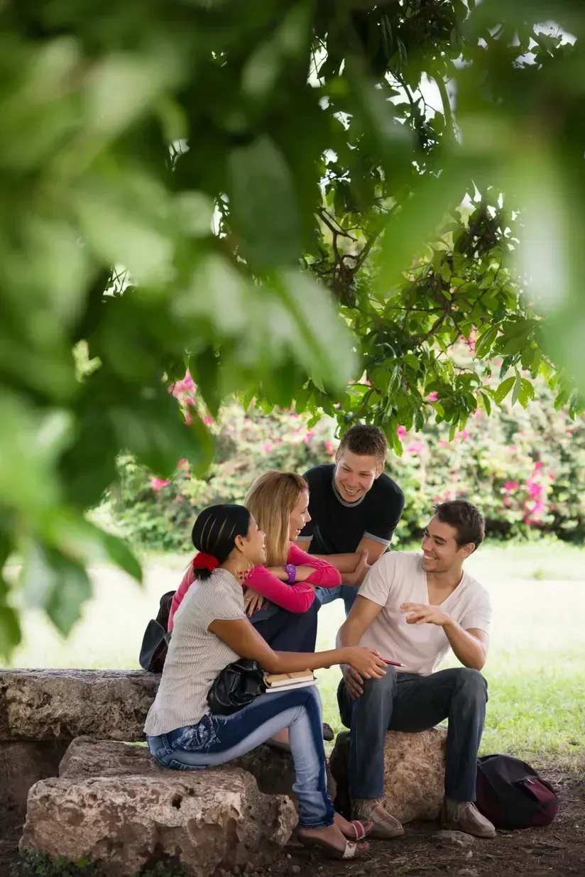 People sitting together on a stone bench under a leafy tree in a park
