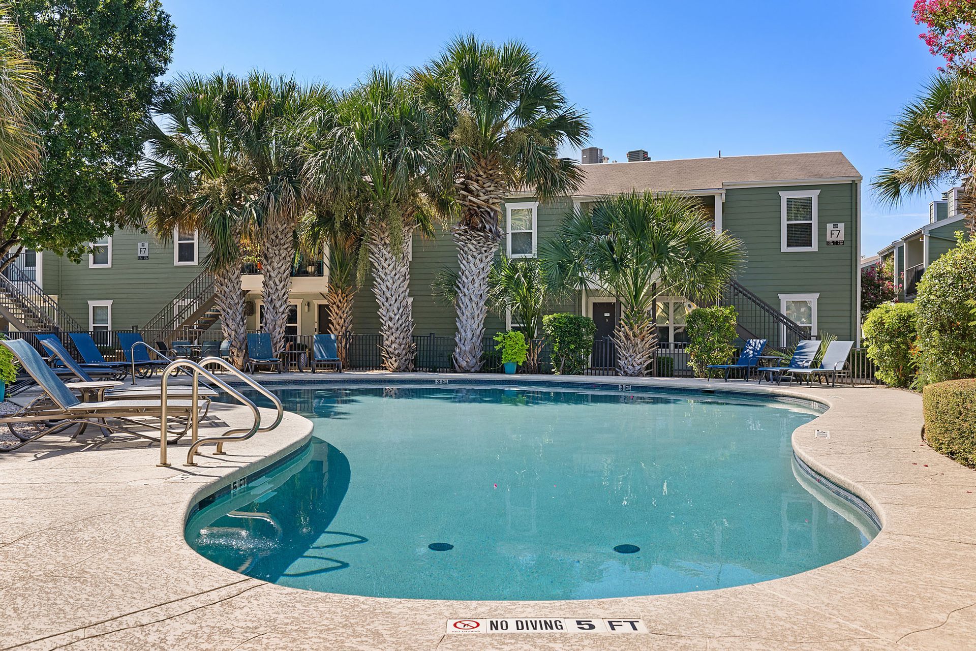Outdoor apartment pool with blue water, lounge chairs, and palm trees on a sunny day at Austin Midtown offers apartments in North Austin, TX.