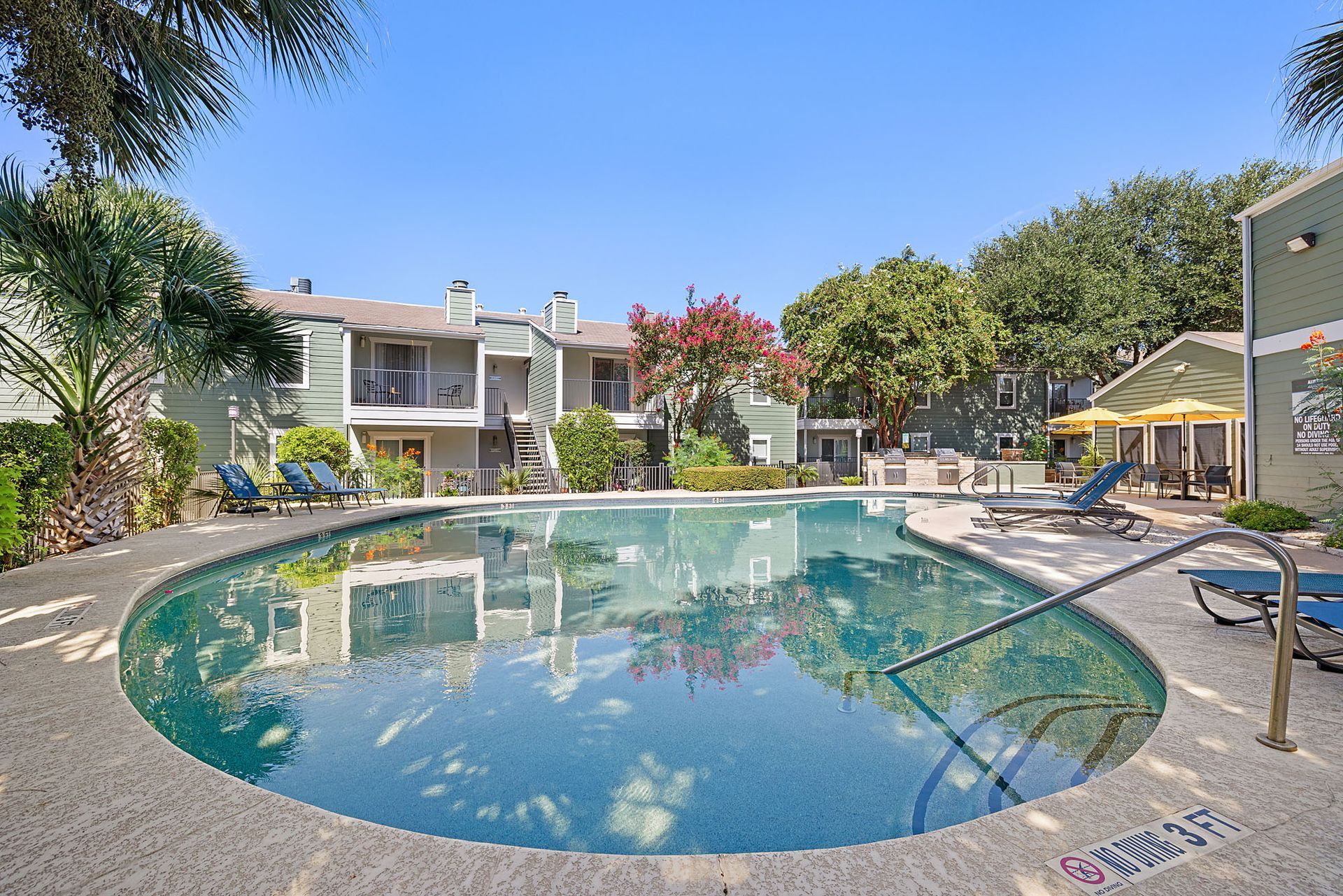 Backyard apartment pool with lounge chairs, palm trees, and patio umbrellas under a clear blue sky