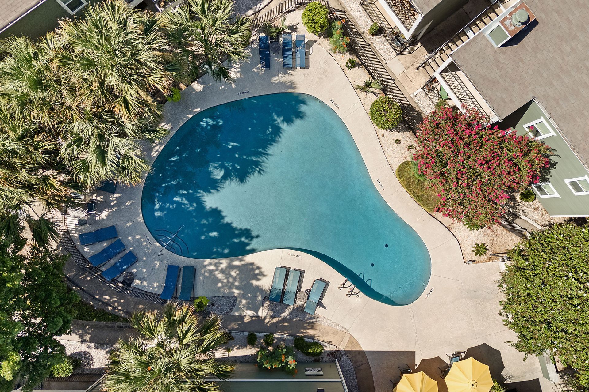 Apartment courtyard pool with lounge chairs and trees in bright sunlight