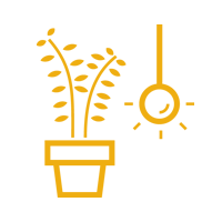 Plant Pot Icon | Atlanta, GA | TD Consulting Plant Pot Icon | Atlanta, GA | TD Consulting