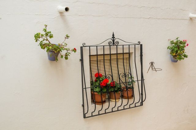 Window Guards