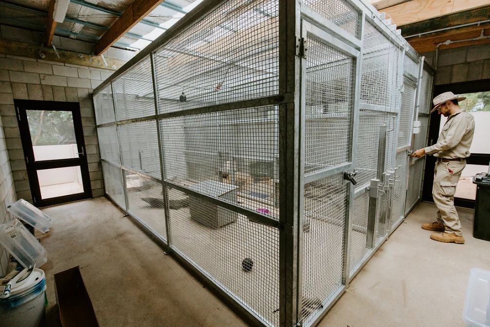 Zoo Keeper and The Large Cage — Engineering And Drafting Services In Yeppoon, QLD