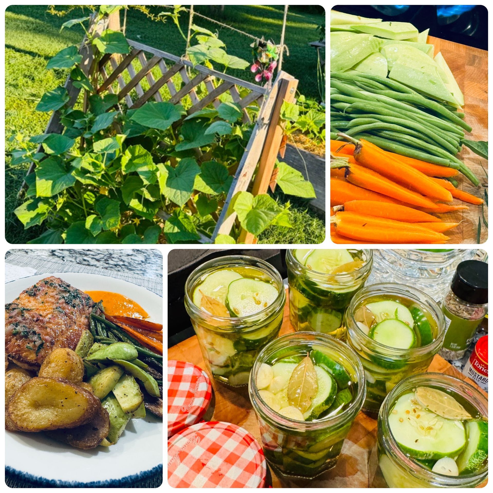 Cooking and pickling with July vegetables from my home garden.
