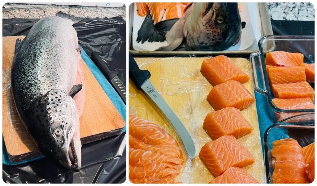 butchering whole salmon