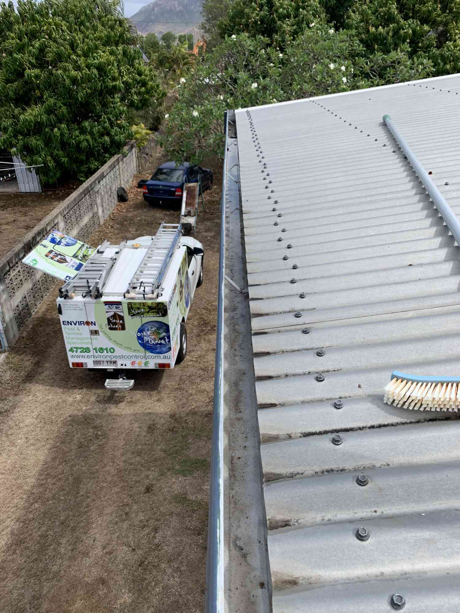 Residential Pest Control near me Townsville Pest Control Services