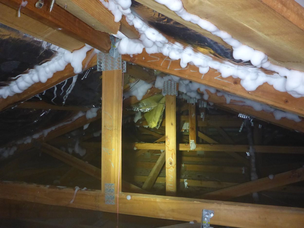townsville termite treatments