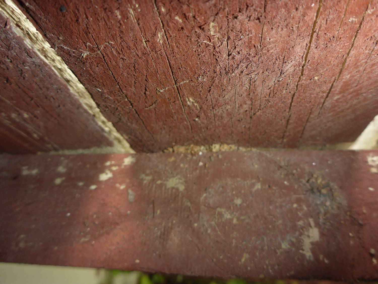 Hidden pests