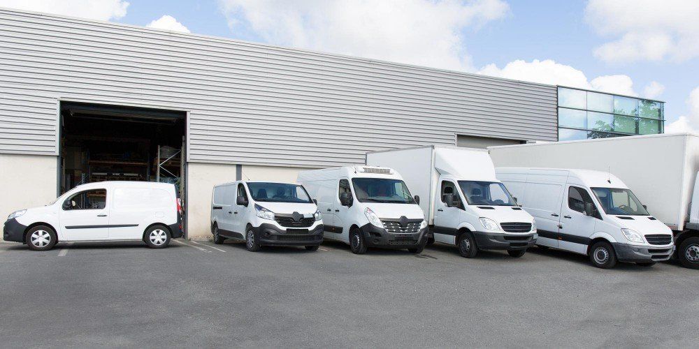 commercial pest control in Townsville near you