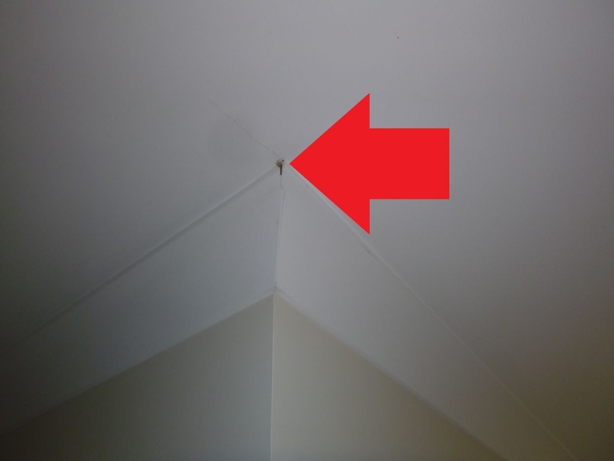 Pest inspection for homes