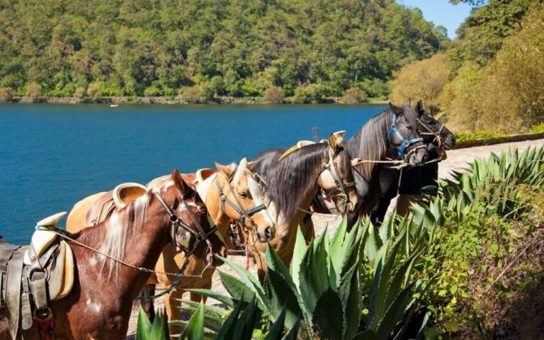 Paseos a Caballo