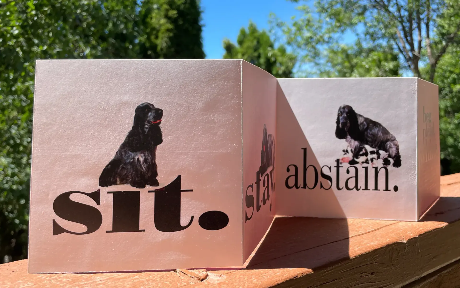 Two pink signs with a black dog silhouette and the words “sit.” and “abstain.” outdoors in sunlight
