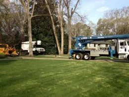 Two utility trucks parked on a grassy lawn with trees in the background