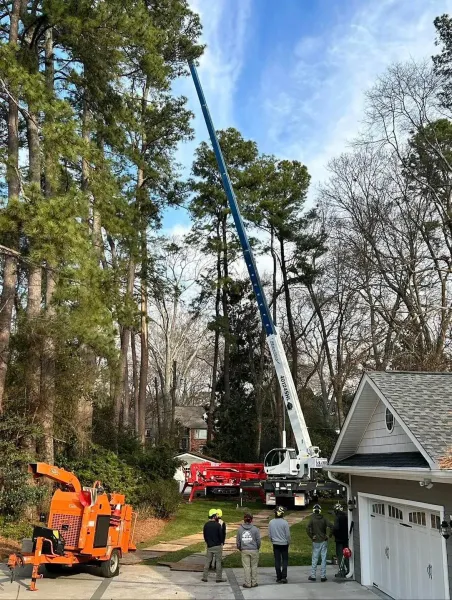 Crane lifting a blue tree limb over a house in a wooded yard, with workers and equipment below